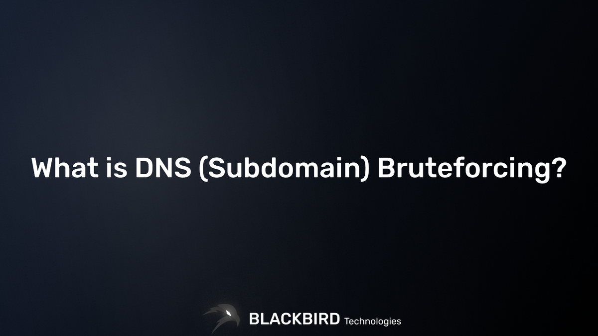 What is DNS (Subdomain) Bruteforcing?