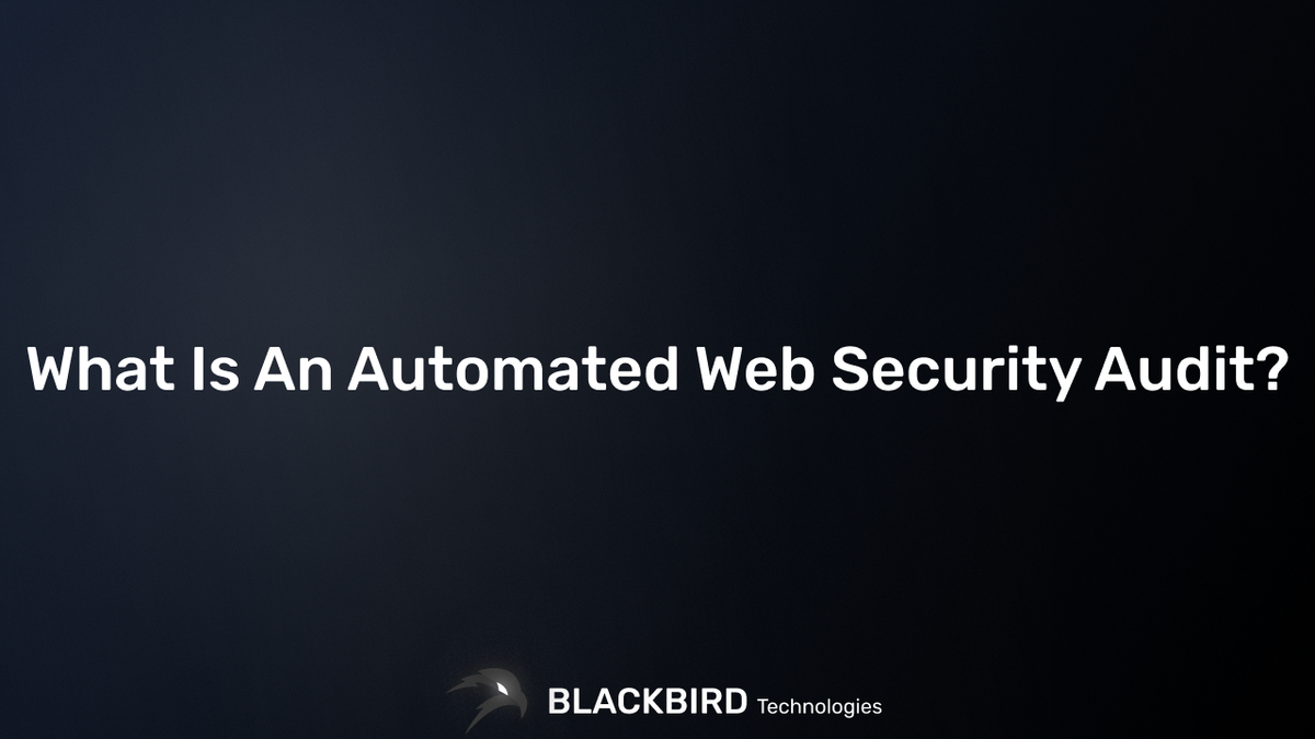 What Is An Automated Web Security Audit?