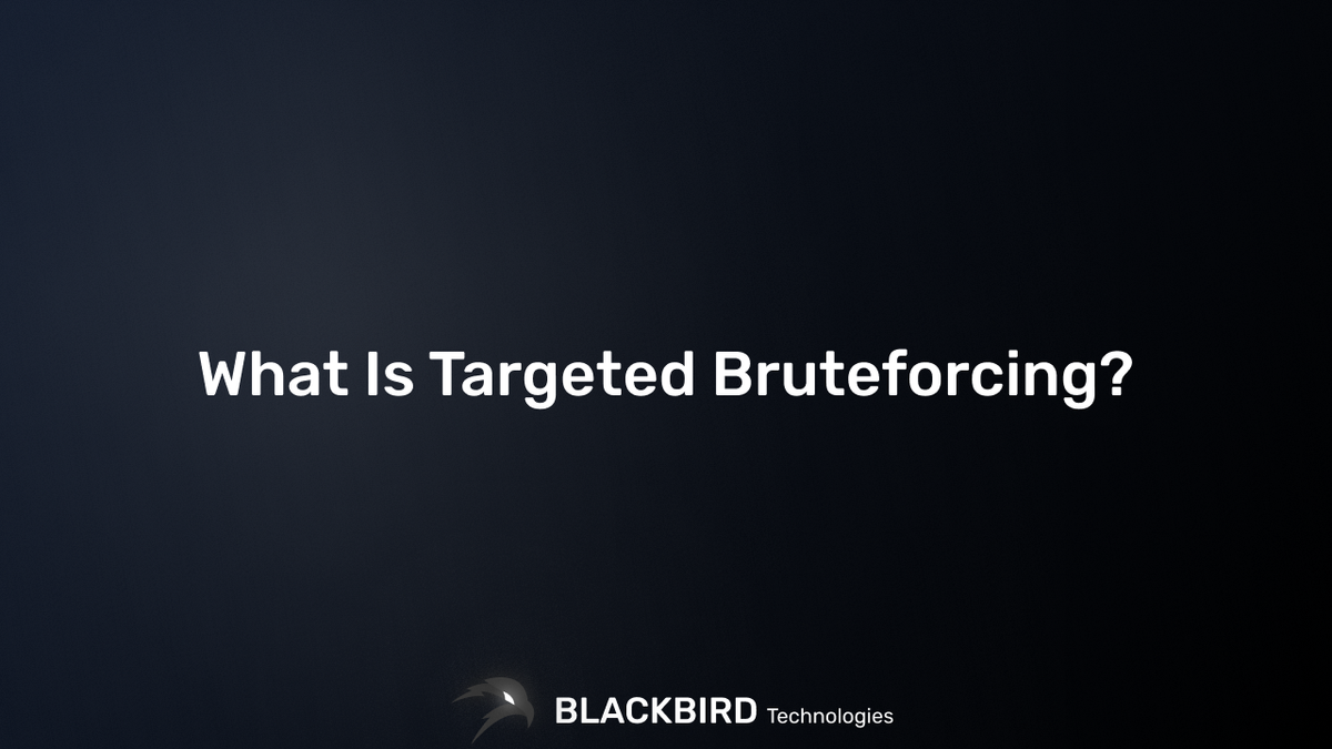 What Is Targeted Bruteforcing?