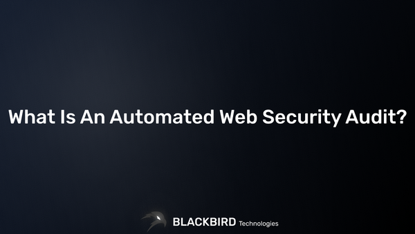 What Is An Automated Web Security Audit?