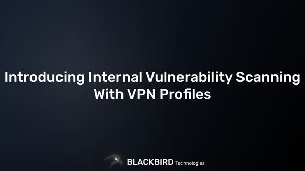 Introducing Internal Vulnerability Scanning With VPN Profiles