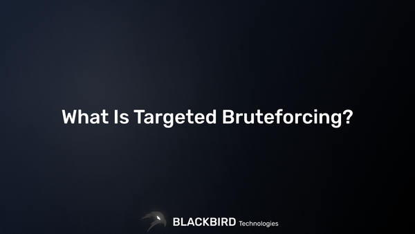 What Is Targeted Bruteforcing?