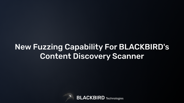 New Fuzzing Capability For BLACKBIRD's Content Discovery Scanner